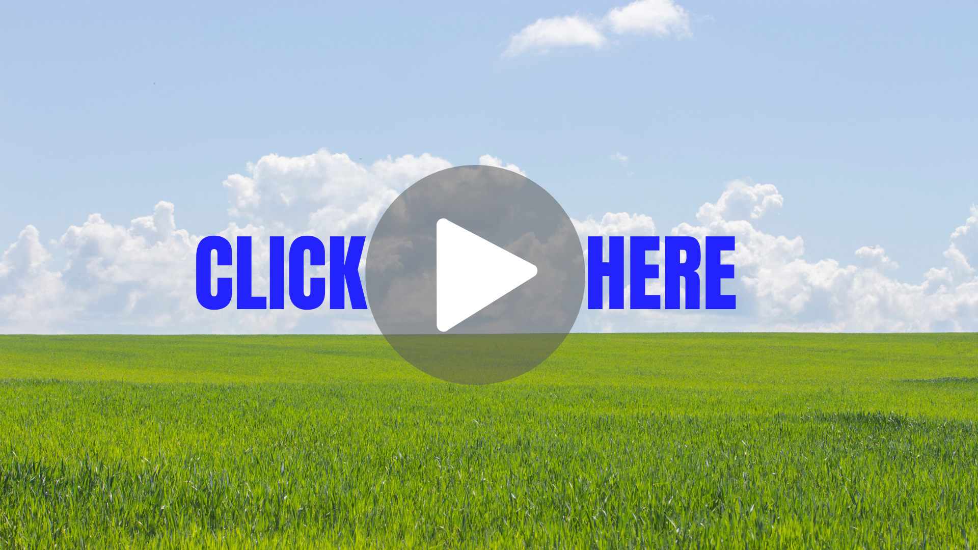 OUR INSTAGRAM ACCOUNT