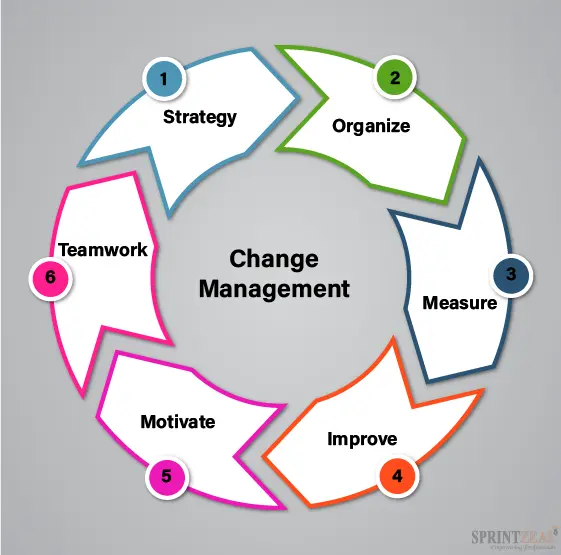 Change Management & Organizational Transformation